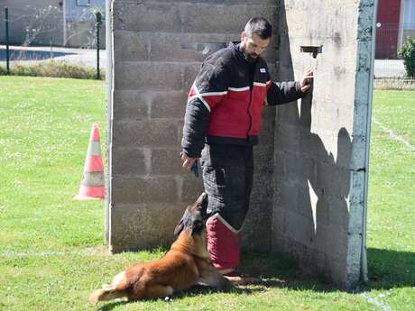 Concours de chiens de travail
