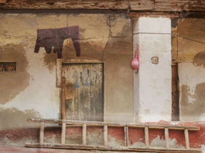 Exposition de photographies de ​​​​Sandrine Rousseau