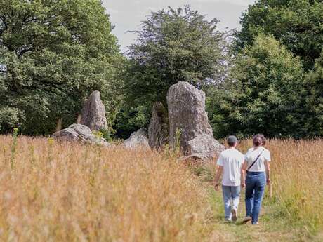 Alignement de menhirs de Lampouy