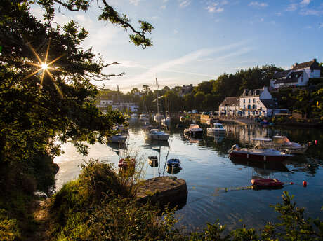 Visite guidée - Une escale au port de Doëlan