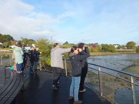 Sortie nature - Découverte des oiseaux du littoral