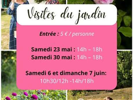 Visite du jardin Ooh, Au coeur des sens pour la floraison des roses de Damas