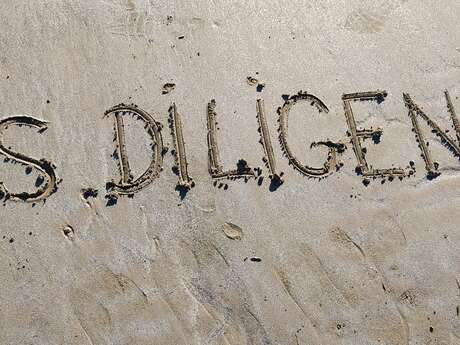 Conciergerie Les Diligences 