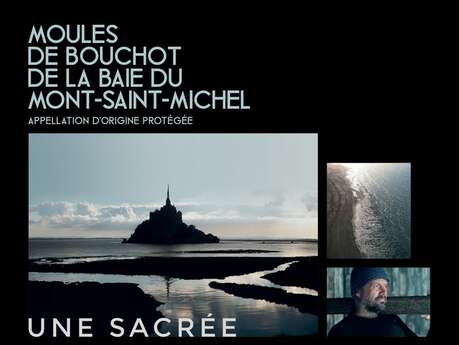 Comité AOP "Moules de bouchot" de la Baie du Mont-Saint-Michel