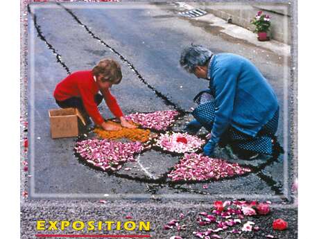 Exposition de photographies de Robert Perrot : "Parterres éphémères"