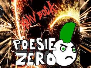 Concert - Poésie Zéro / Krav Boca (Punk rock)
