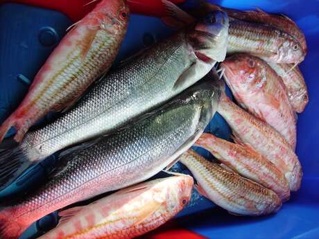 Marché de Pleudaniel