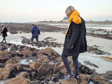 Sortie nature : sentinelles de l'estran