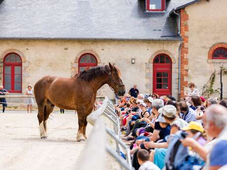 Haras National d'Hennebont