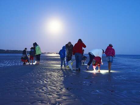 Sortie nature nocturne : grande marée
