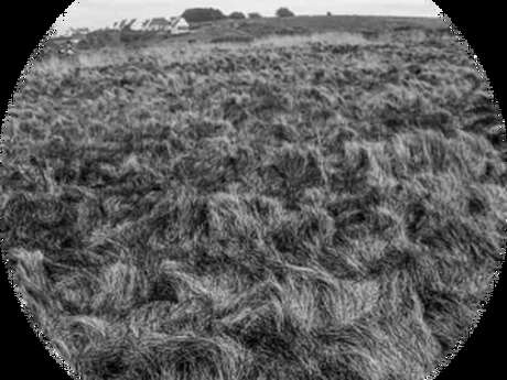 Exposition photo - Sensations de Bernard Maussion