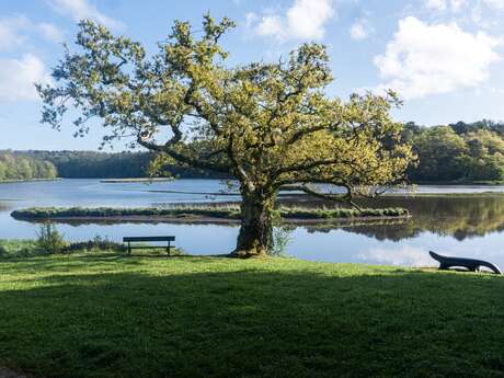 Visite naturaliste "En piste !" - SDNR 2026