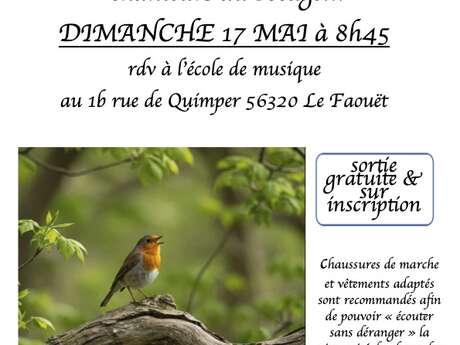 Sortie ornithologique