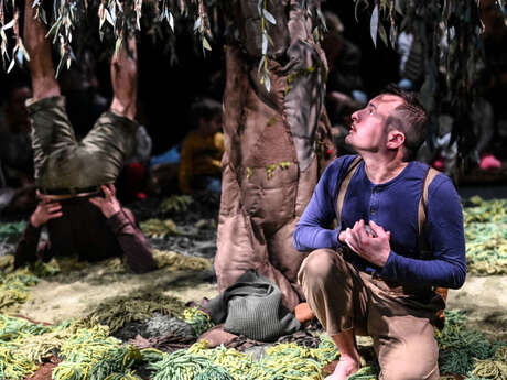 Sous l'arbre - Cie Mon amour