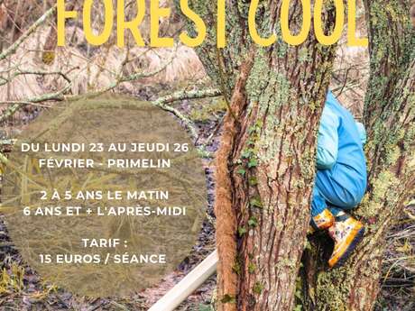 Forest Cool - Stage d'hiver en forêt