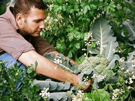 Initiation à la Syntropie chez Pépi Berry