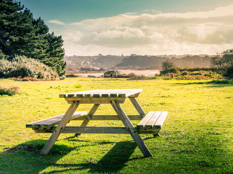 Aire de l'île Renote