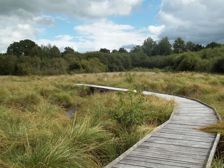 La tourbière de Landemarais