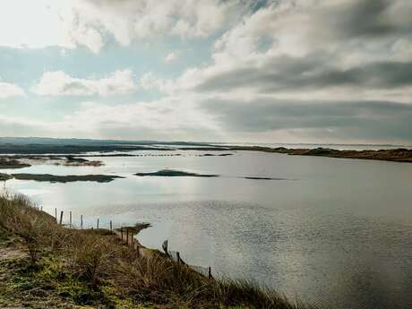 Les rendez-vous nature - À la découverte des dunes et paluds bigoudènes