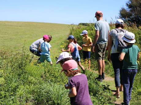 Les rendez-vous nature - Atelier nature d'hiver