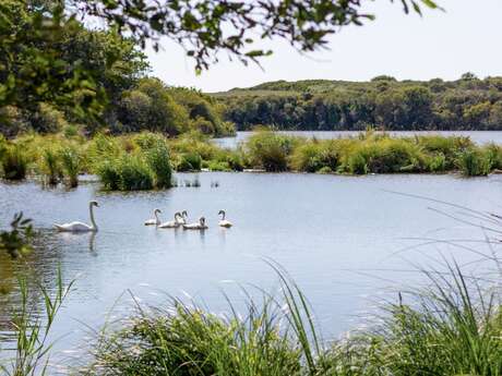 Les rendez-vous nature - Sur le chemin de Trunvel