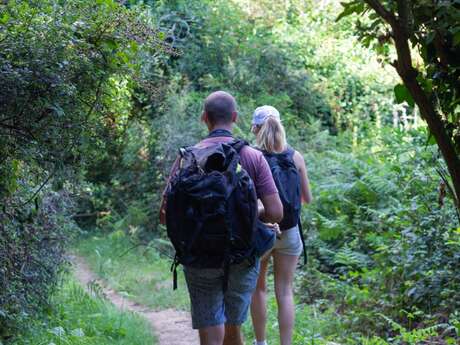 Téléthon - Randonnée pédestre