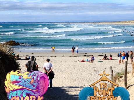 Ty Point Break 29 - Conciergerie