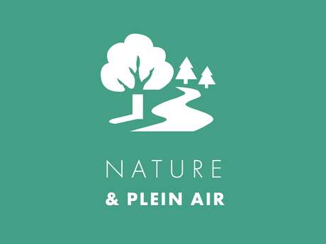 Les plantes aux mille et une vertus