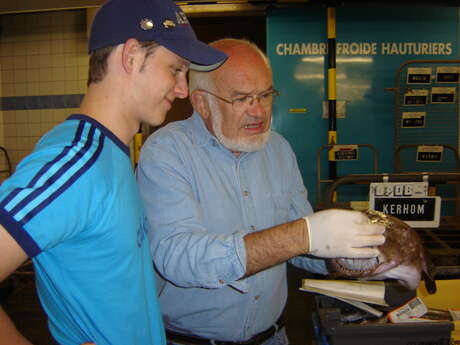 Visite guidée du port de St-Guénolé