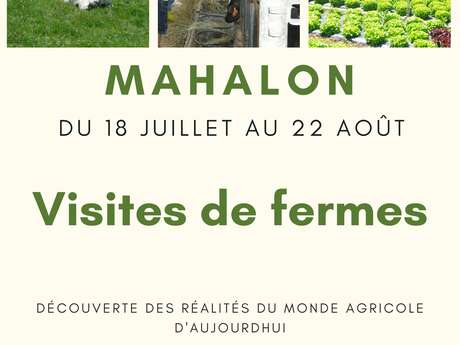 Les "Chemins de fermes"