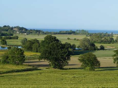 Circuit VTT n° 3 Au cœur de la Baie