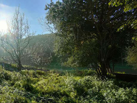 Passeurs de Nature - Balades nature guidées