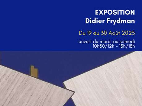 Exposition Didier Frydman