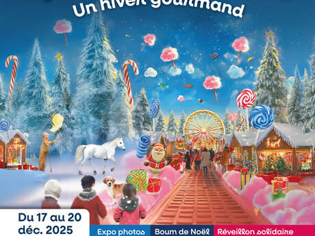 Spectacles équestres dans le cadre des Féérizzz 🎅