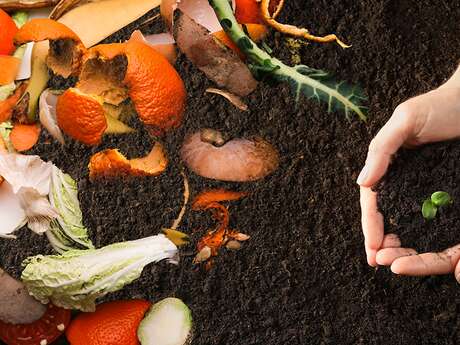 Atelier "Stop au gaspillage alimentaire"