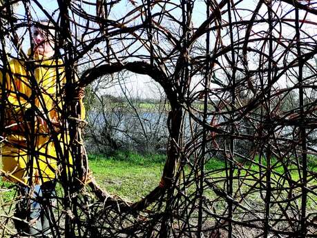 Atelier nature participatif - Tressage d'une nouvelle cabane