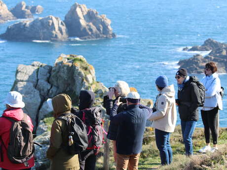 Visite guidée de la Réserve du Cap-Sizun