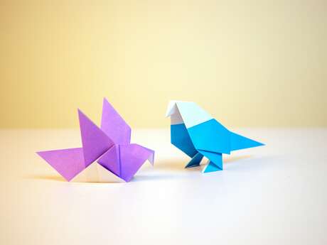 Atelier oiseaux