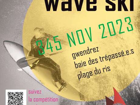 Championnat de France de Waveski