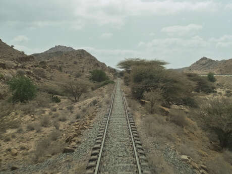 Chemin de terre | Le Mois du film documentaire