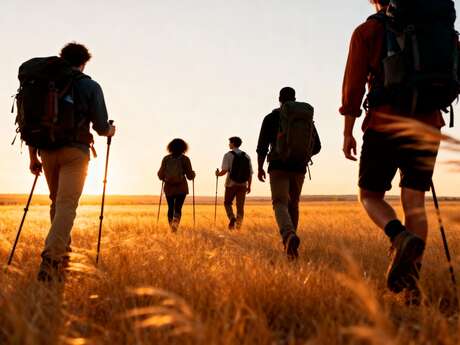 Festisol - Marche solidaire