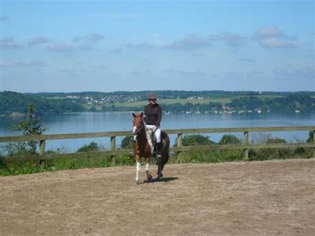 Centre Equestre et Poney Club Les Ecuries des Perrières