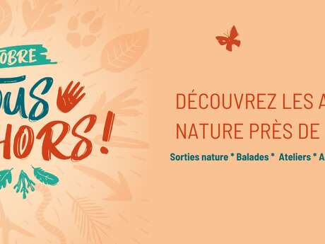 Comptage des oiseaux entre la terre et la mer