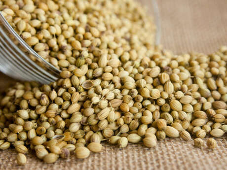 Ensachage de graines | Vie de la grainothèque