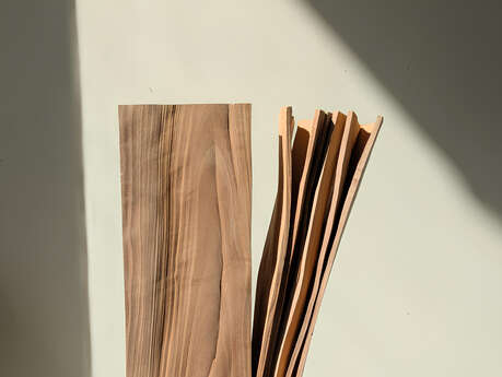 Exposition : Entaille