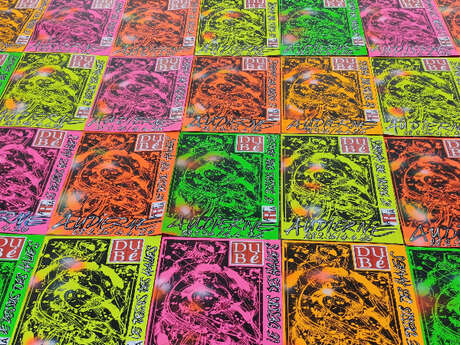 Exposition Laurent Dubé