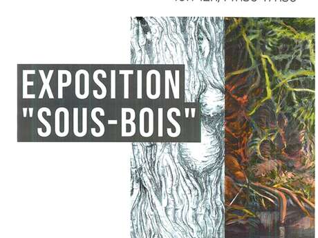 Exposition "Sous-bois"