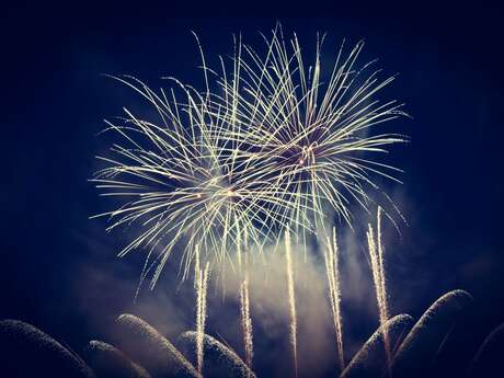 Repas animé - Feu d'artifice