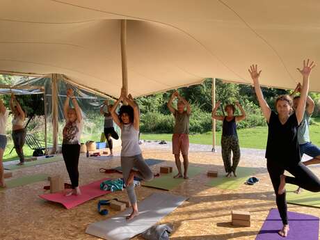 Cours de Hatha Yoga