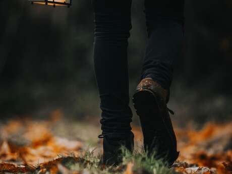 Balade nature - Au clair de lune autour de Tronoën